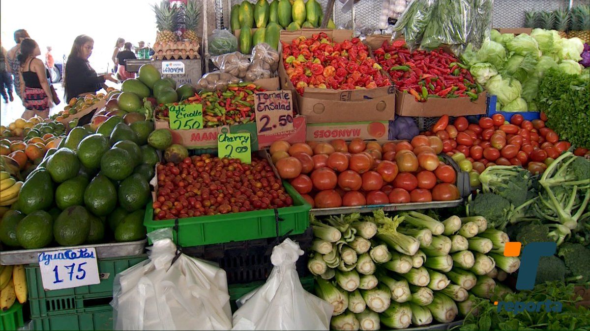 Precio De La Lechuga Registra Una Baja En Merca Panam El Tomate Aumenta