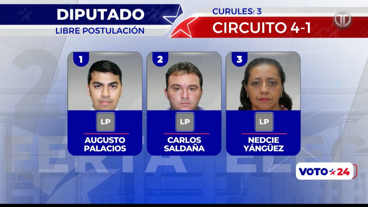 Voto 24 Candidatos a diputados por libre postulación en el circuito 4 1