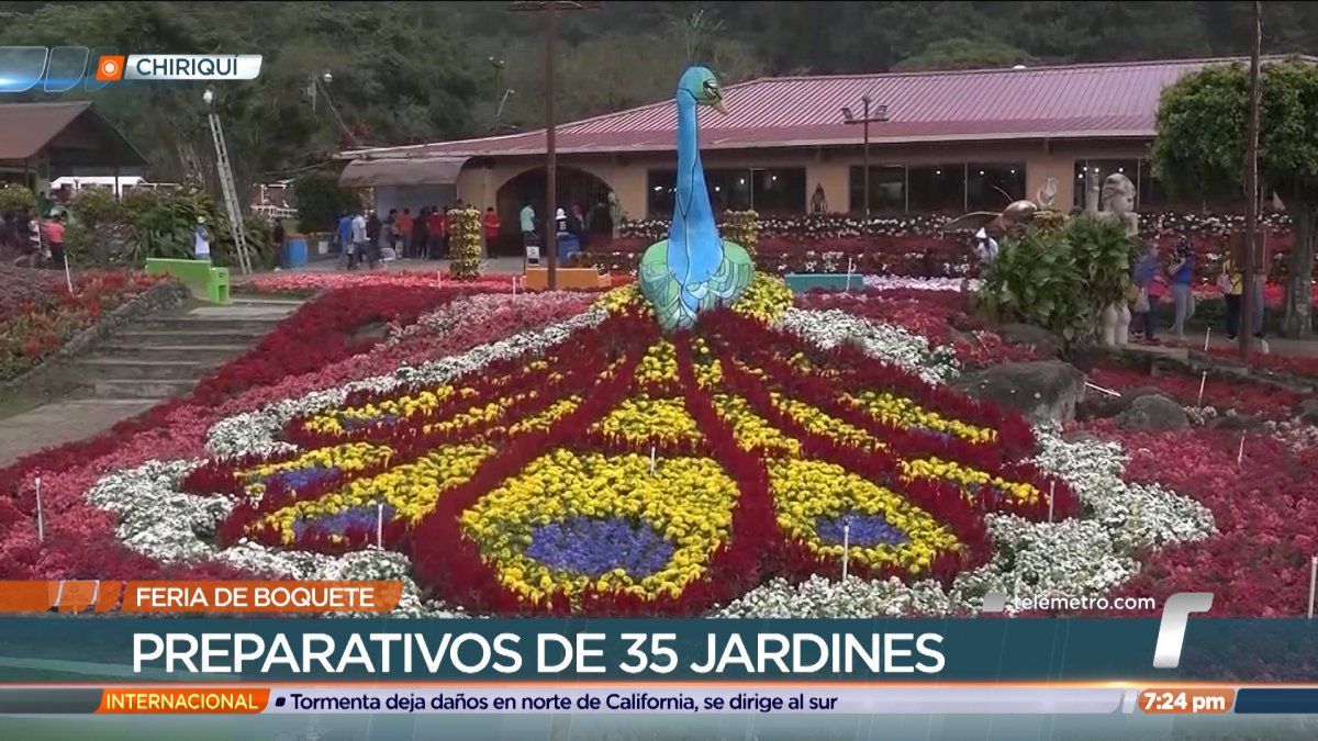 Comerciantes se preparan para la Feria de las Flores y el Café