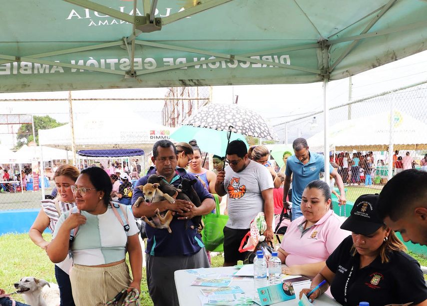 Jornada de vacunación para mascotas en Panamá Conozca aquí dónde y