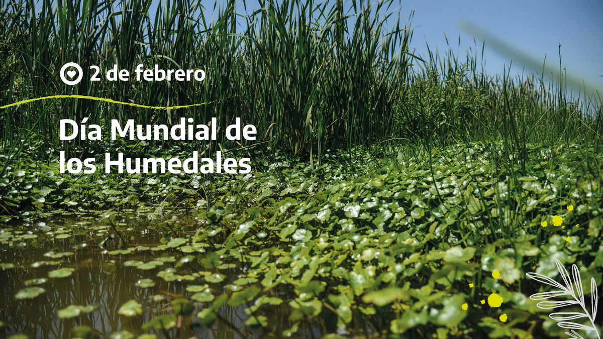 De Febrero D A Mundial De Los Humedales