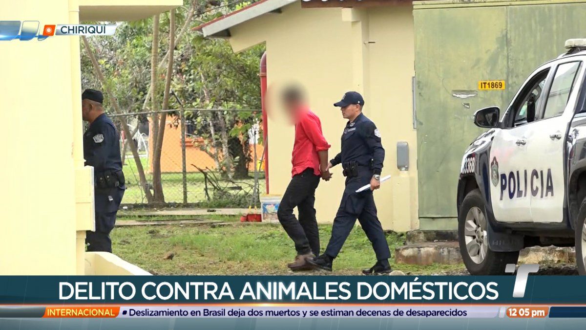 Imputan Cargos A Hombre Que Supuestamente Mat A Un Perro En Bugaba