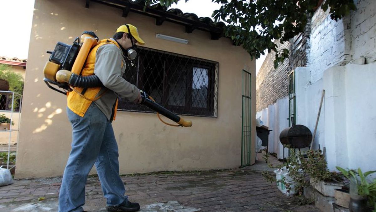 Con Muertos Paraguay Atraviesa La Peor Epidemia De Dengue De Su