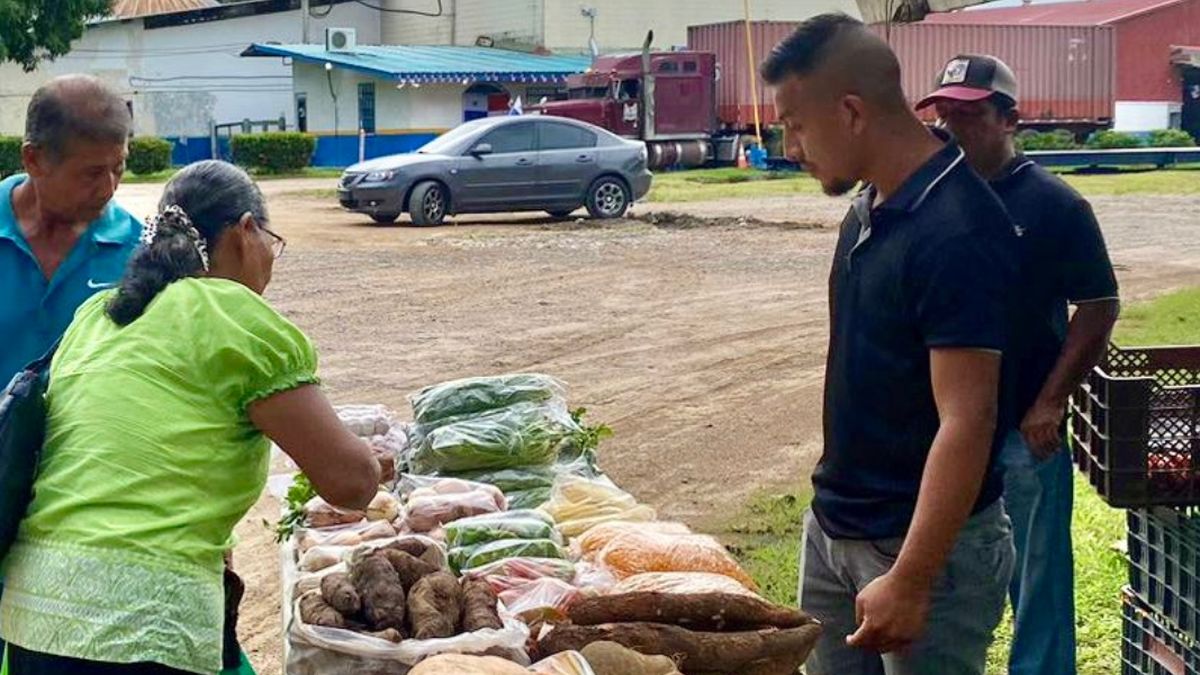 Agroferias este sábado Conozca dónde se realizarán