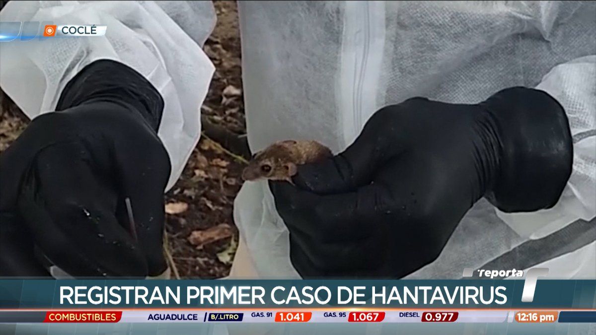 Se registra el primer caso de Hantavirus en Coclé