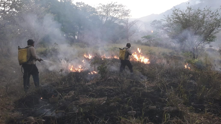 Atención Emiten aviso por generación y propagación de incendios en Panamá