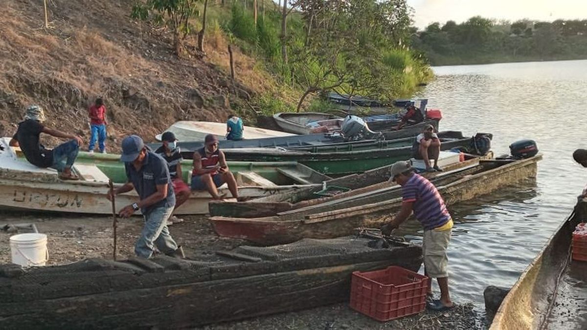 Sancionan ley que regula la pesca y la acuicultura en Panamá