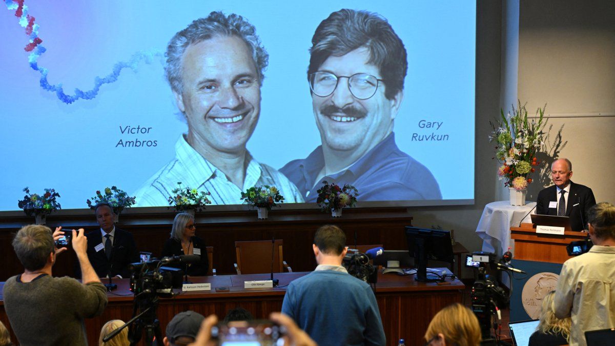 Premio Nobel De Medicina Es Para Victor Ambros Y Gary Ruvkun