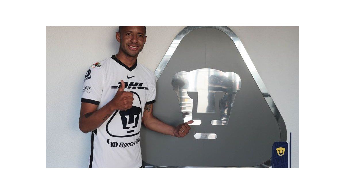  UFC Camiseta Ufc Conor Mcgregor Arch para hombre, Negro - :  Deportes y Actividades al Aire Libre
