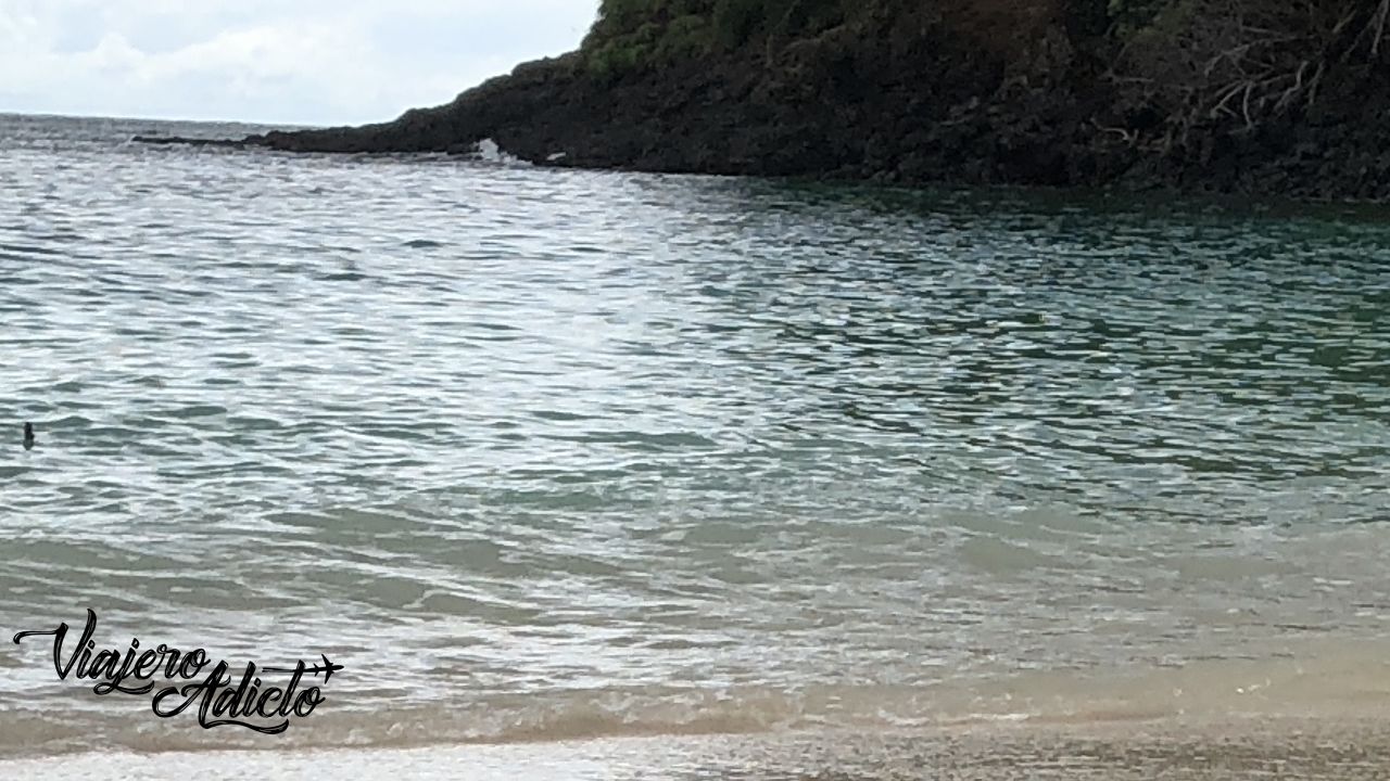 Boca Chica en el Parque Nacional Marino de Chiriquí