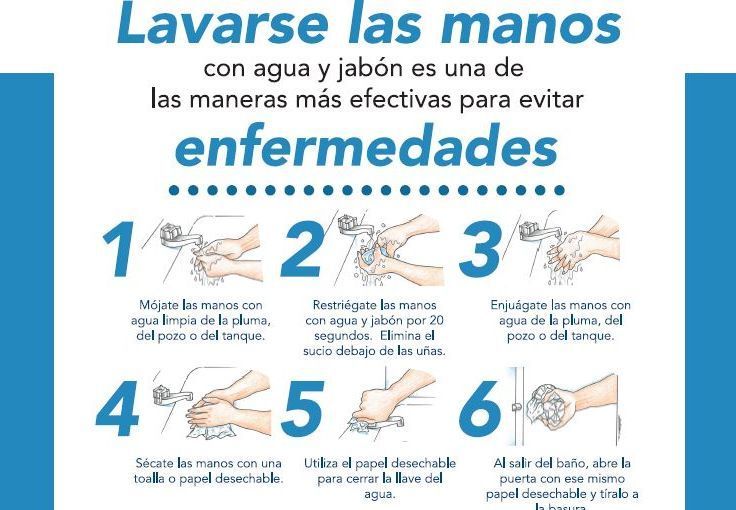 Lavado correcto de manos Lavado correcto de manos