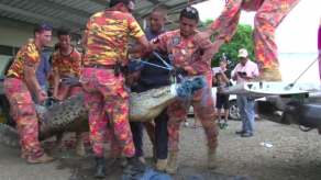 Capturan enorme lagarto en el Puerto de Mensabé