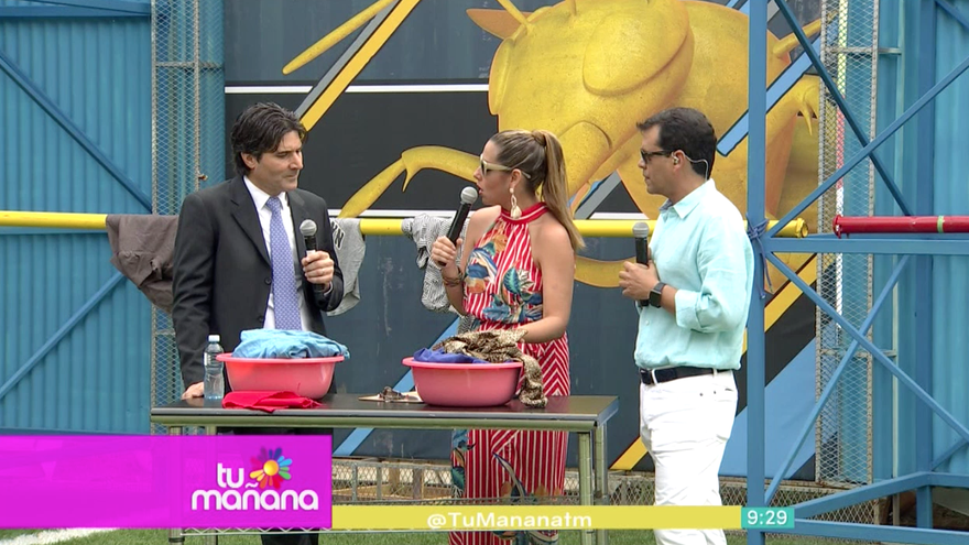 La ropa puede ser causante de enfermedades