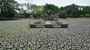 Lagos de parques capitalinos sufren por falta de lluvias en Costa Rica