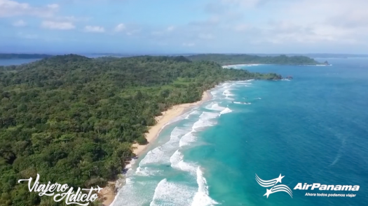 Delfines y arrecifes con destino a Cayo Zapatilla