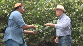 Finca Agroturística en Chiriquí