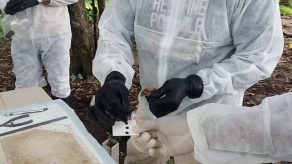 Confirman 5 nuevos casos de hantavirus en Los Santos