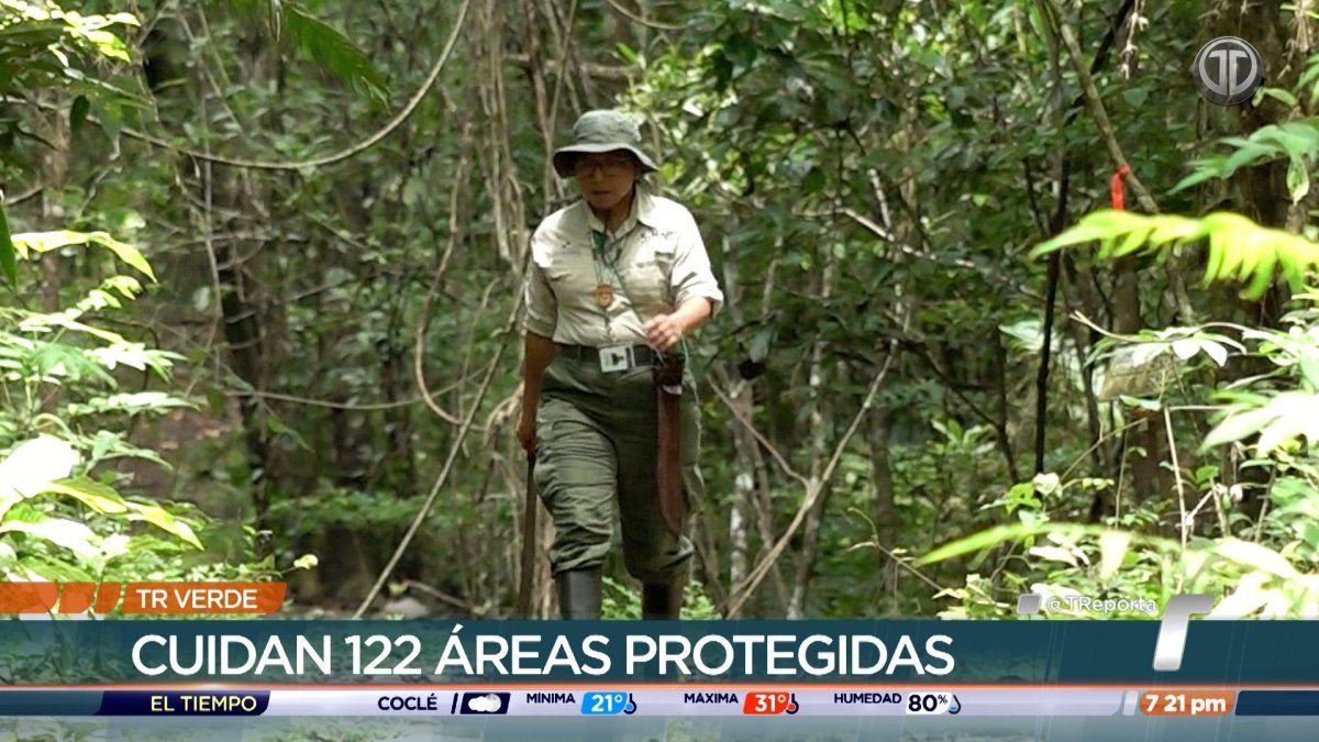 TR Verde: Guardaparques, los guardianes de la naturaleza