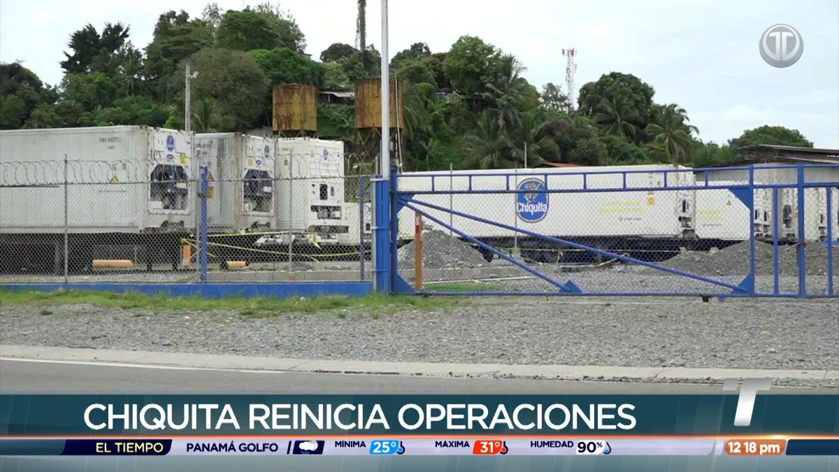 Surgen reacciones sobre el retorno de la actividad bananera en Bocas del Toro