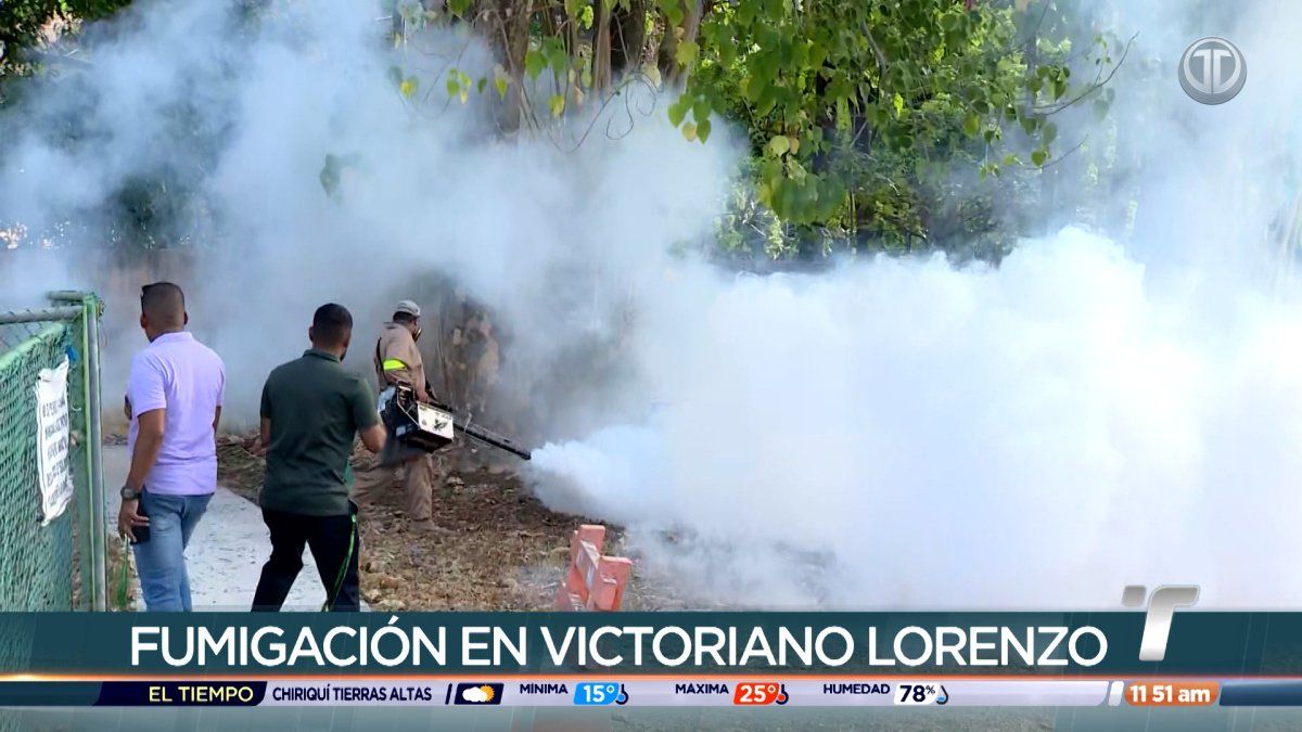 Minsa atiende llamado por proliferación de mosquitos y ratas en Victoriano Lorenzo