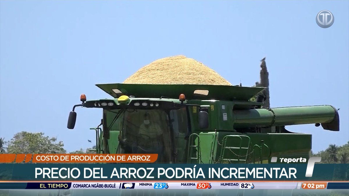 Arroceros piden ser tomados en cuenta con subsidios del combustible y fertilizantes