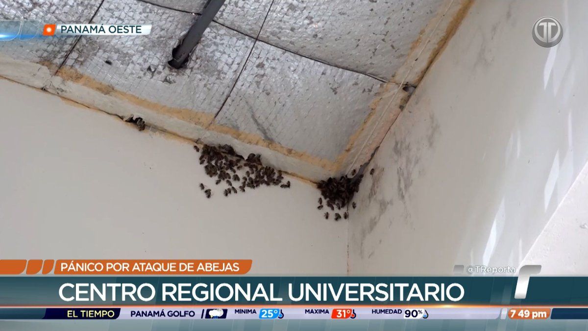 Suspenden clases en el Centro Regional Universitario de Panamá Oeste