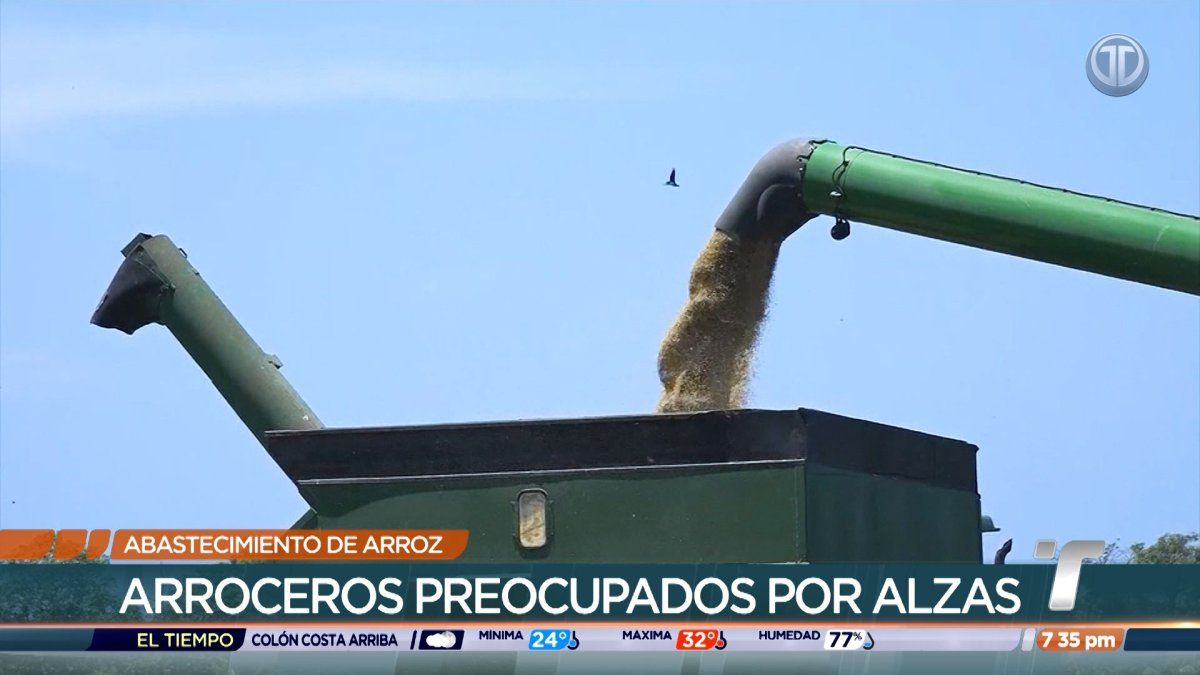 Gobierno descarta importación de arroz