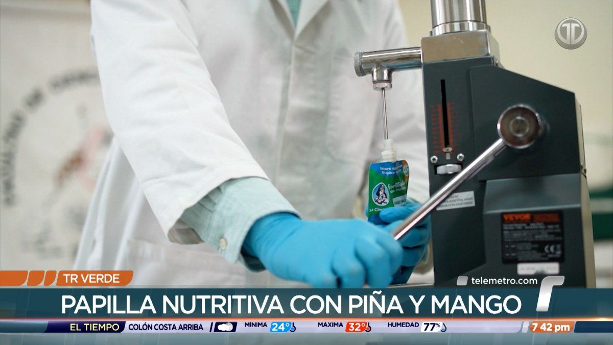 TR Verde: Joven universitario crea papilla nutritiva