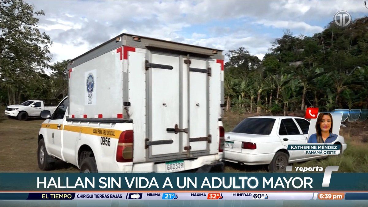 Adulto mayor muere por ataque de abejas en La Chorrera