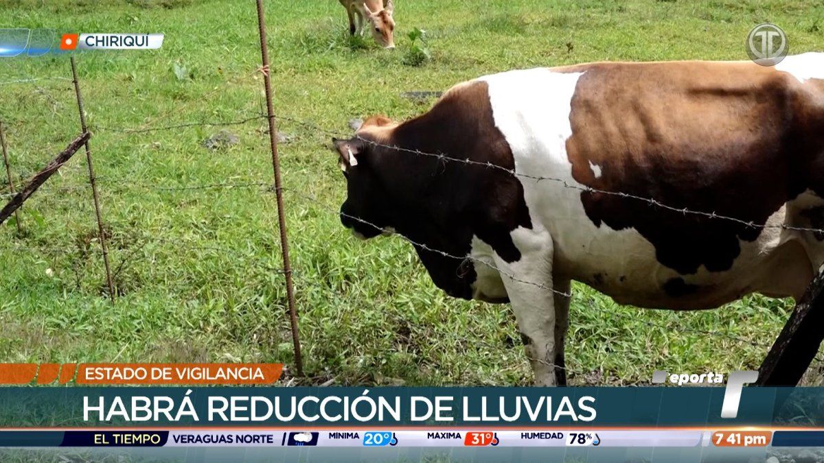 Productores de Chiriquí preocupados por impacto del Fenómeno de El Niño