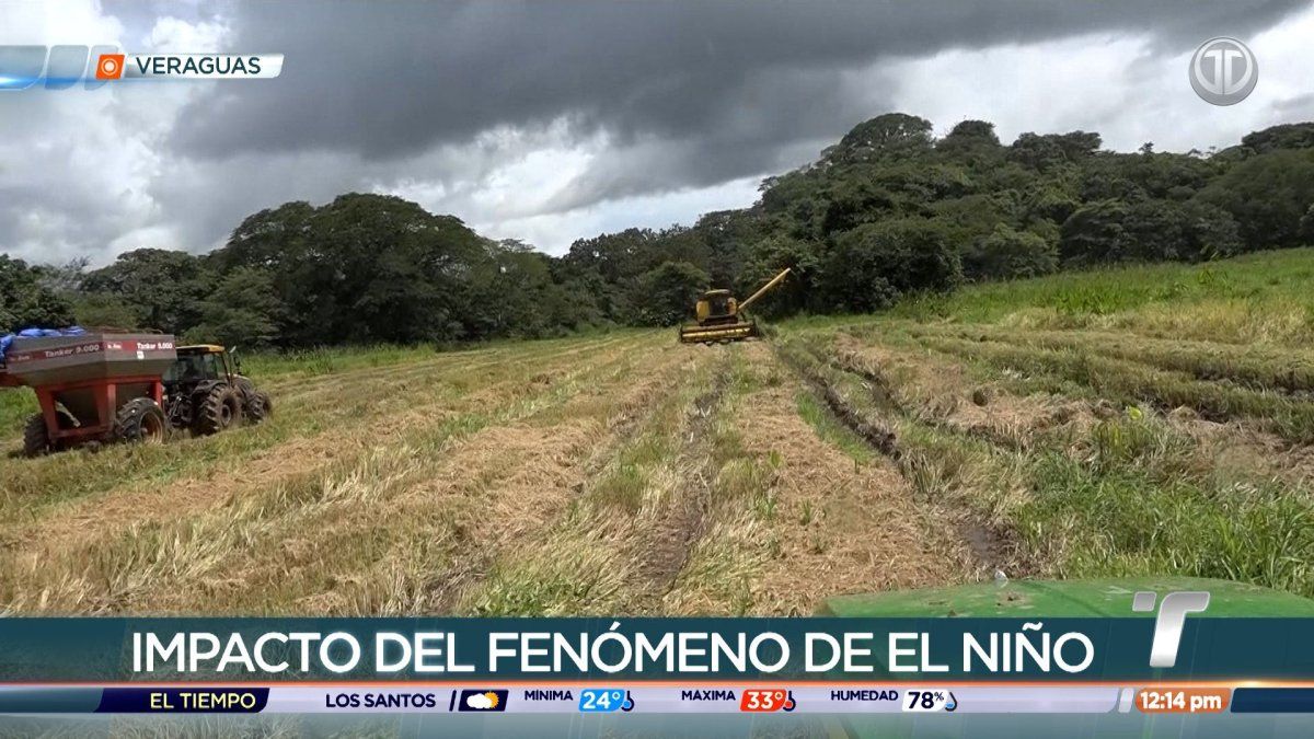 MIDA activa vigilancia en Veraguas por Fenómeno de El Niño