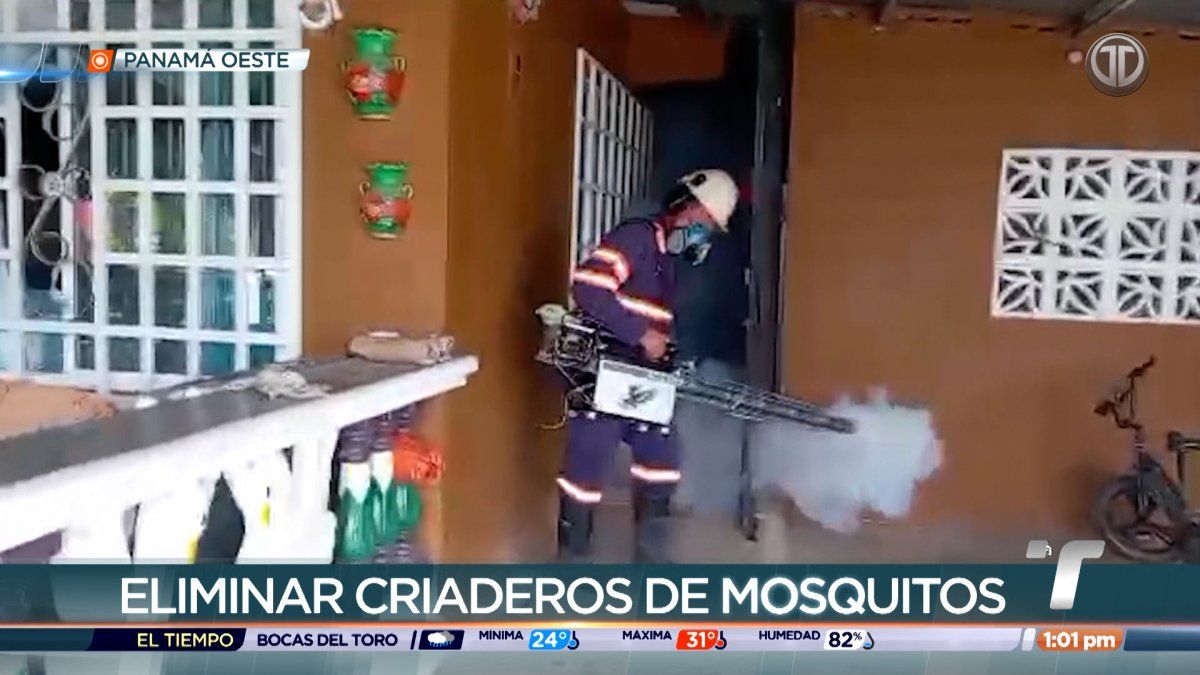 Panamá Oeste registra más de 200 casos con dengue este año