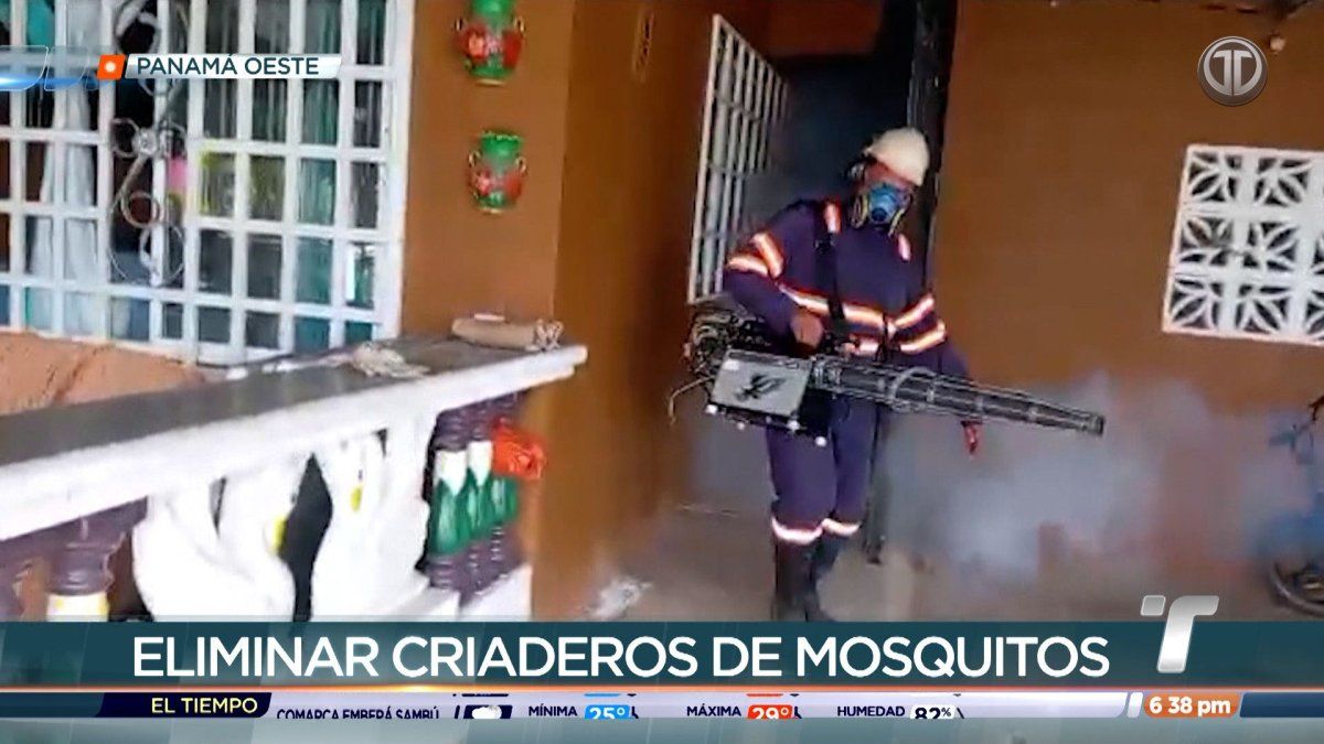 Panamá Oeste registra más de 200 casos de dengue