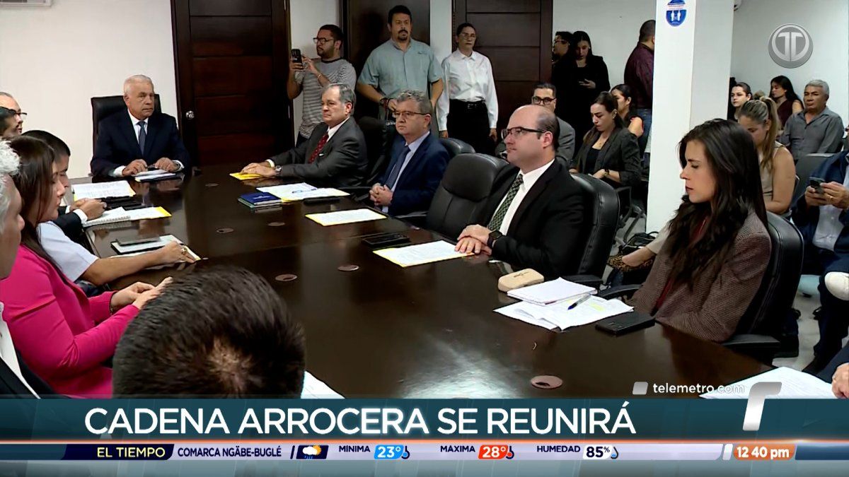 Ministro del MIDA analizará junto a productores la necesidad de importar cierta cantidad de arroz