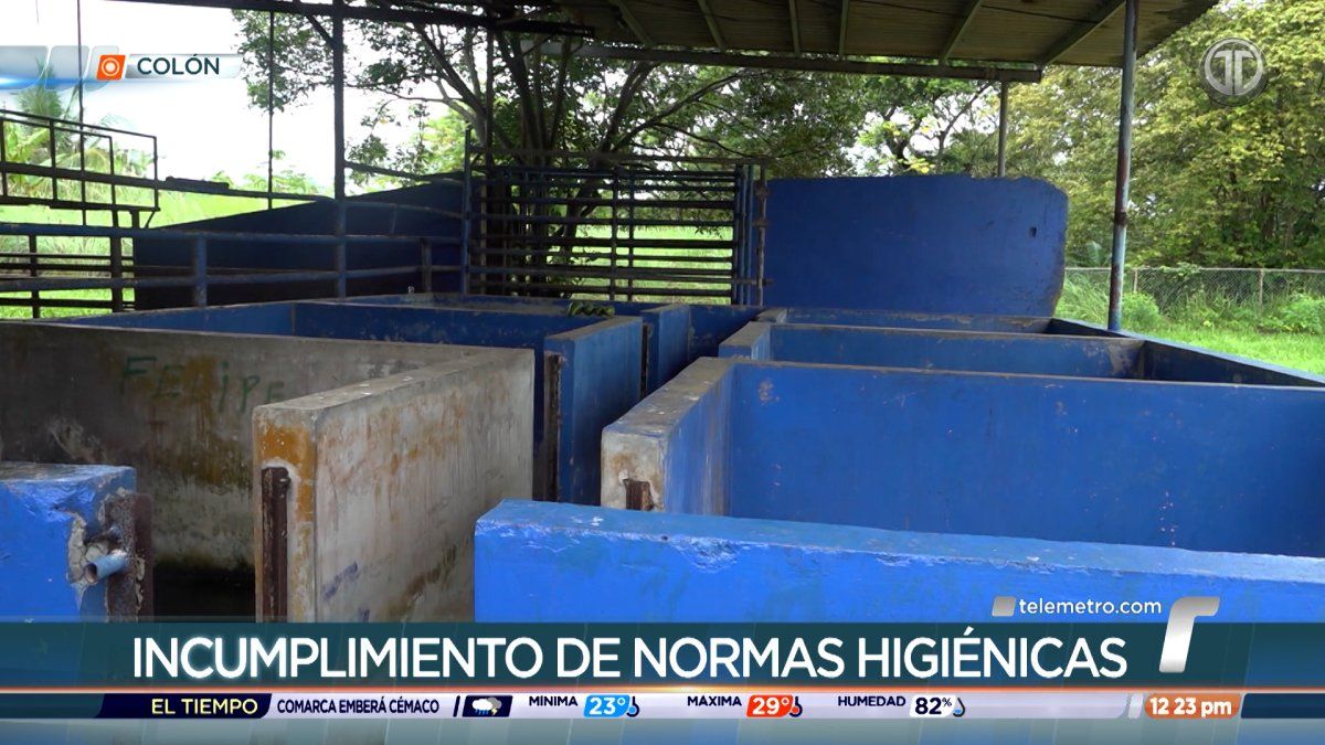 Minsa ordena cierre temporal del matadero de Colón por incumplimiento de normas