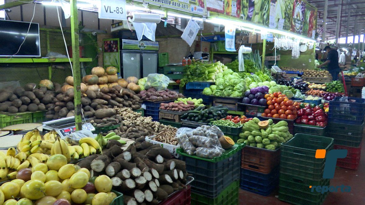 Precio del tomate se mantiene elevado en Merca Panamá