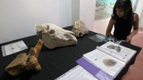 Abre Museo de la Prehistoria tras una década de investigación en México