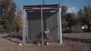 Jesús y la Virgen María