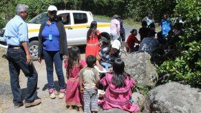 Realizan captaciones de menores de edad en fincas cafetaleras de Boquete Realizan captaciones de menores de edad en fincas cafetaleras de Boquete