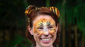 Muere una empleada de un zoológico de Florida tras ser atacada por un tigre