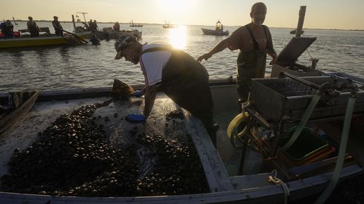 La cantidad de agua que fluye al delta desde el Po es más baja que nunca, de apenas 95 metros cúbicos (3.350 pies cúbicos) por segundo el mes pasado, debido a la falta del manto de nieve invernal y las lluvias de primavera y verano.