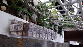 Los billetes falsos fueron encontrados por las unidades Linces en Pueblo Nuevo.