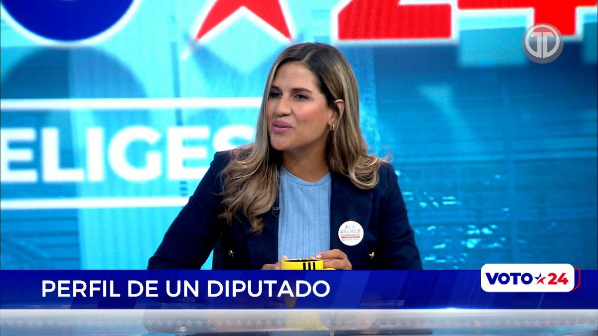 Candidata A Diputada Por Libre Postulación En Circuito 8 2 Explica Sus