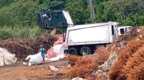 Residentes de Pedregal protestan por vertedero en Rana de Oro