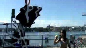 Juguetes artesanos y reciclados todavía aún en la era digital