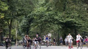 Papa Francisco recorrerá parte de Central Park Papa Francisco recorrerá parte de Central Park