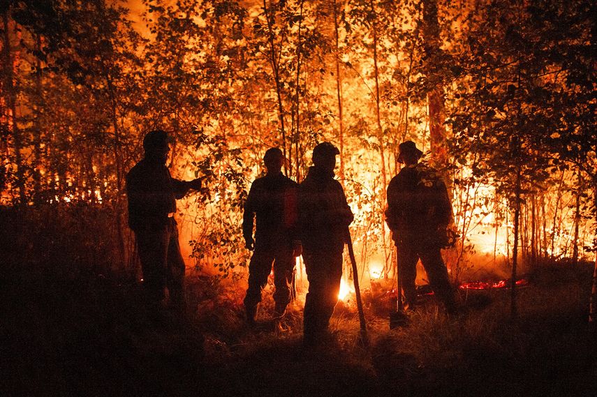 ONU: Los Incendios Forestales Se Agravan En Todo El Mundo