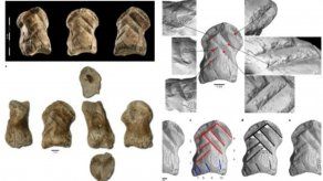 Los análisis microscópicos y las réplicas experimentales sugieren que el hueso se hirvió para ablandarlo antes de tallarlo.