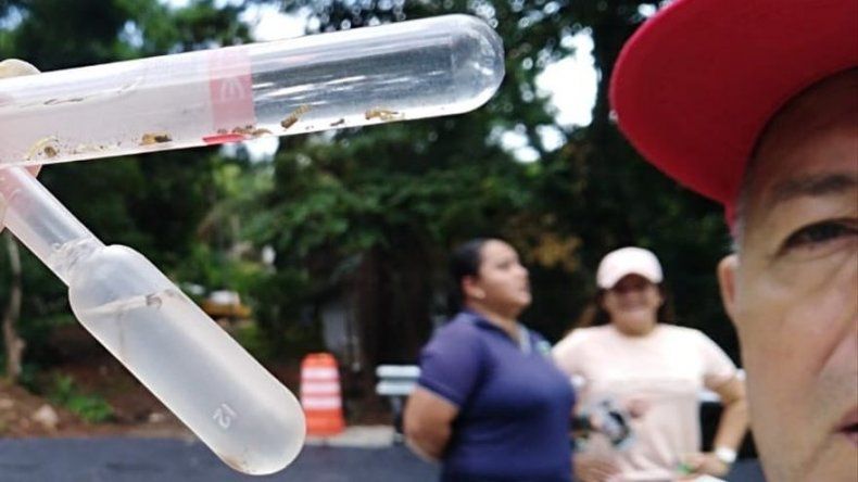 Jornada de limpieza y fumigación contra el Aedes Aegypti en San Miguelito y Colón
