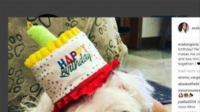 El otro gran hombre en la vida de Eva Longoria